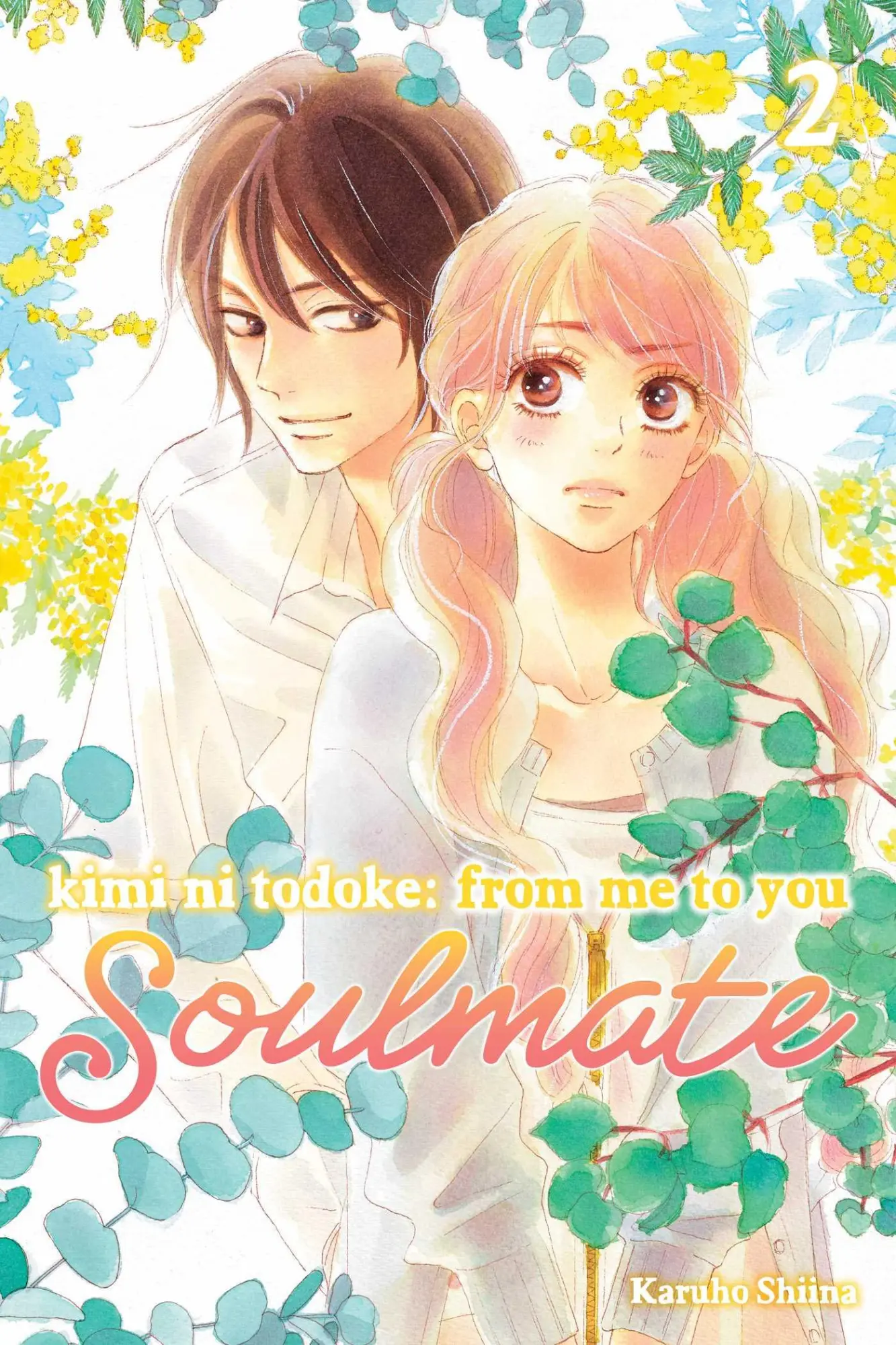 Cover: 9781974746095 | Kimi Ni Todoke: From Me to You: Soulmate, Vol. 2 | Karuho Shiina