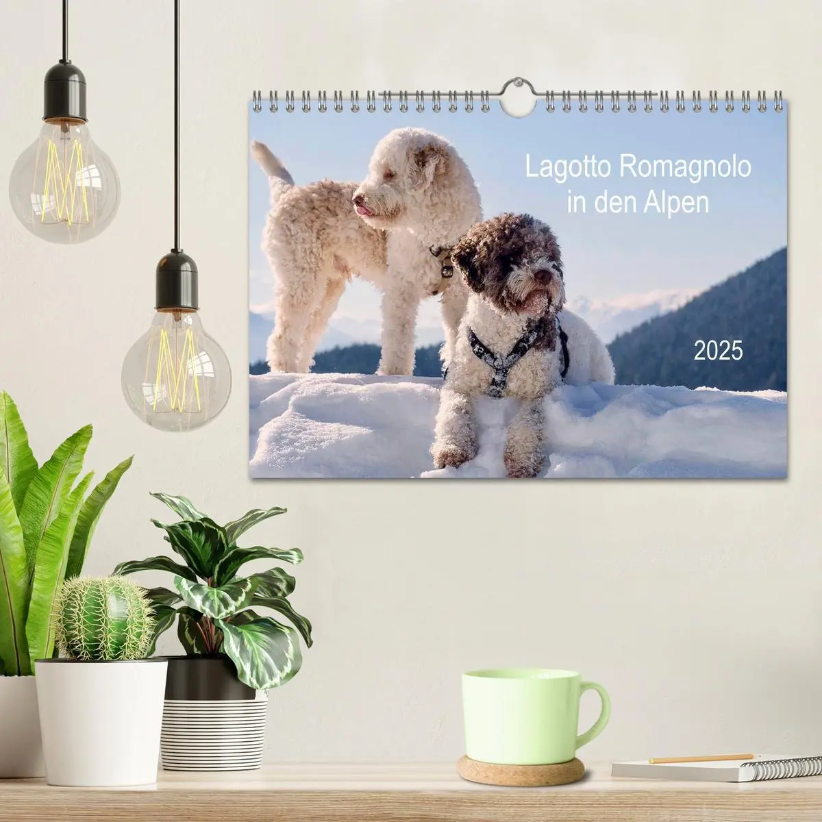 Bild: 9783435296095 | Lagotto Romagnolo in den Alpen 2025 (Wandkalender 2025 DIN A4...