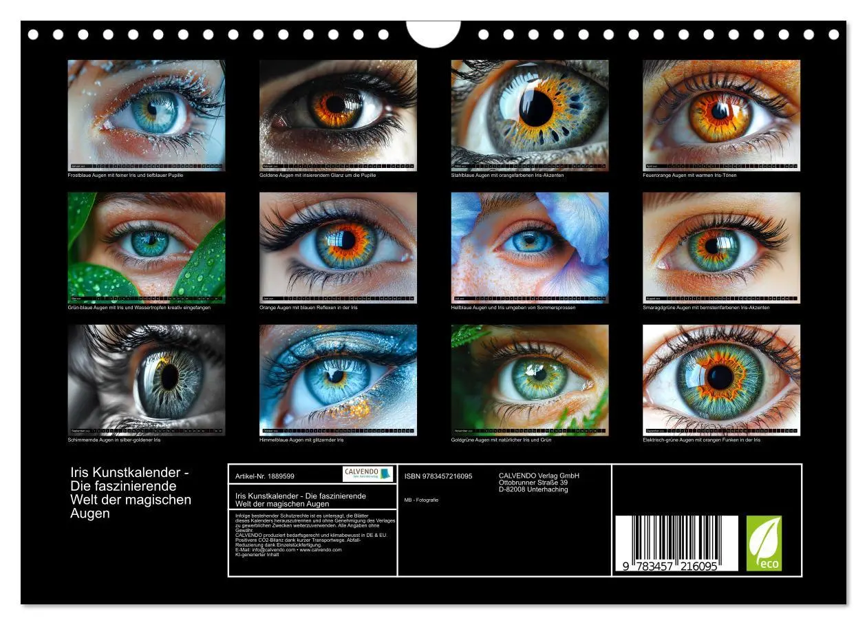 Bild: 9783457216095 | Iris Kunstkalender - Die faszinierende Welt der magischen Augen...