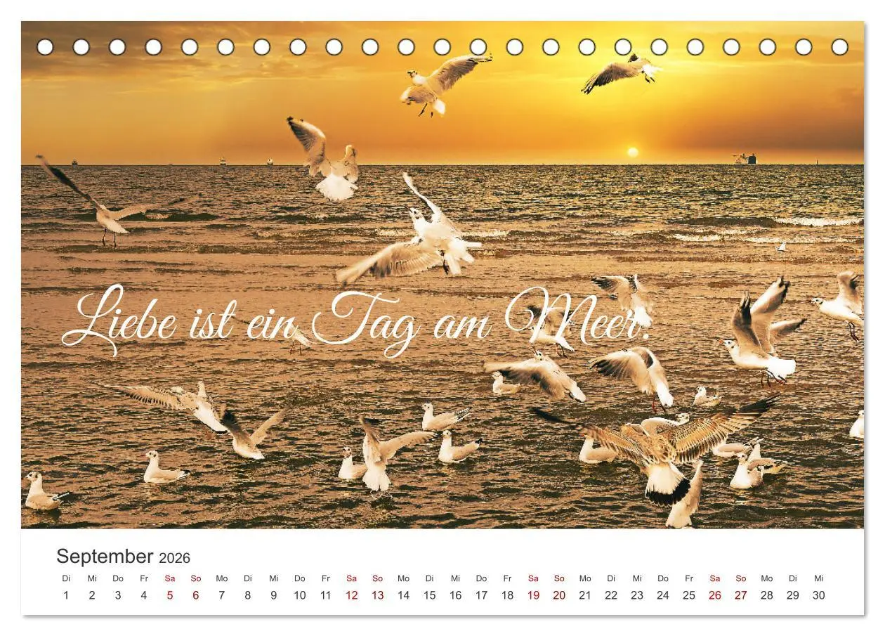 Bild: 9783457386095 | Lass uns ans Meer fahren (Tischkalender 2026 DIN A5 quer), CALVENDO...