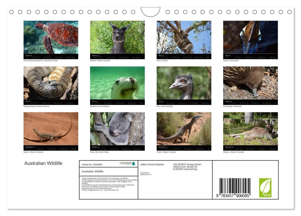 Bild: 9783457906095 | Australian Wildlife (Wandkalender 2026 DIN A4 quer), CALVENDO...
