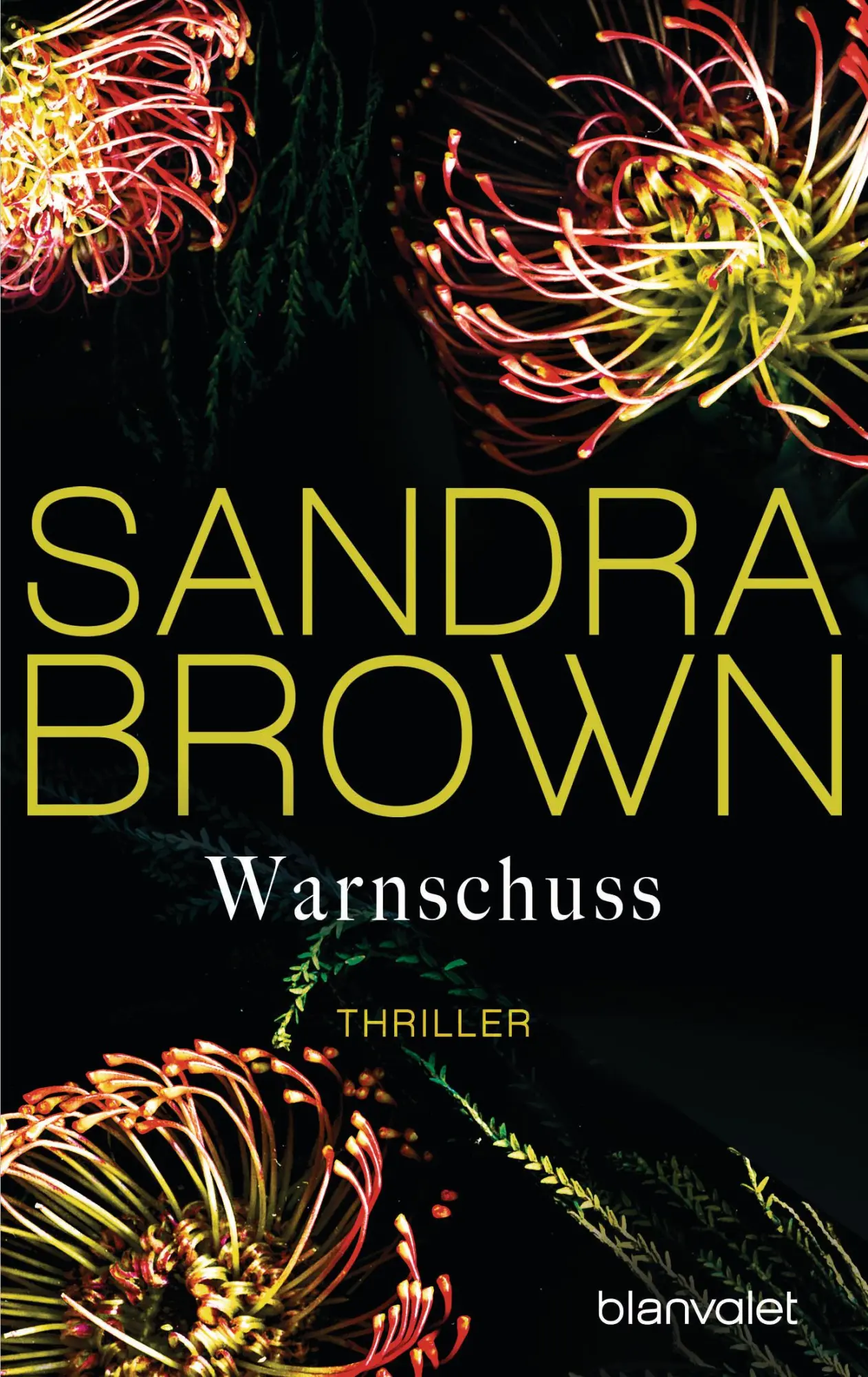 Cover: 9783734106095 | Warnschuss | Thriller | Sandra Brown | Taschenbuch | 512 S. | Deutsch