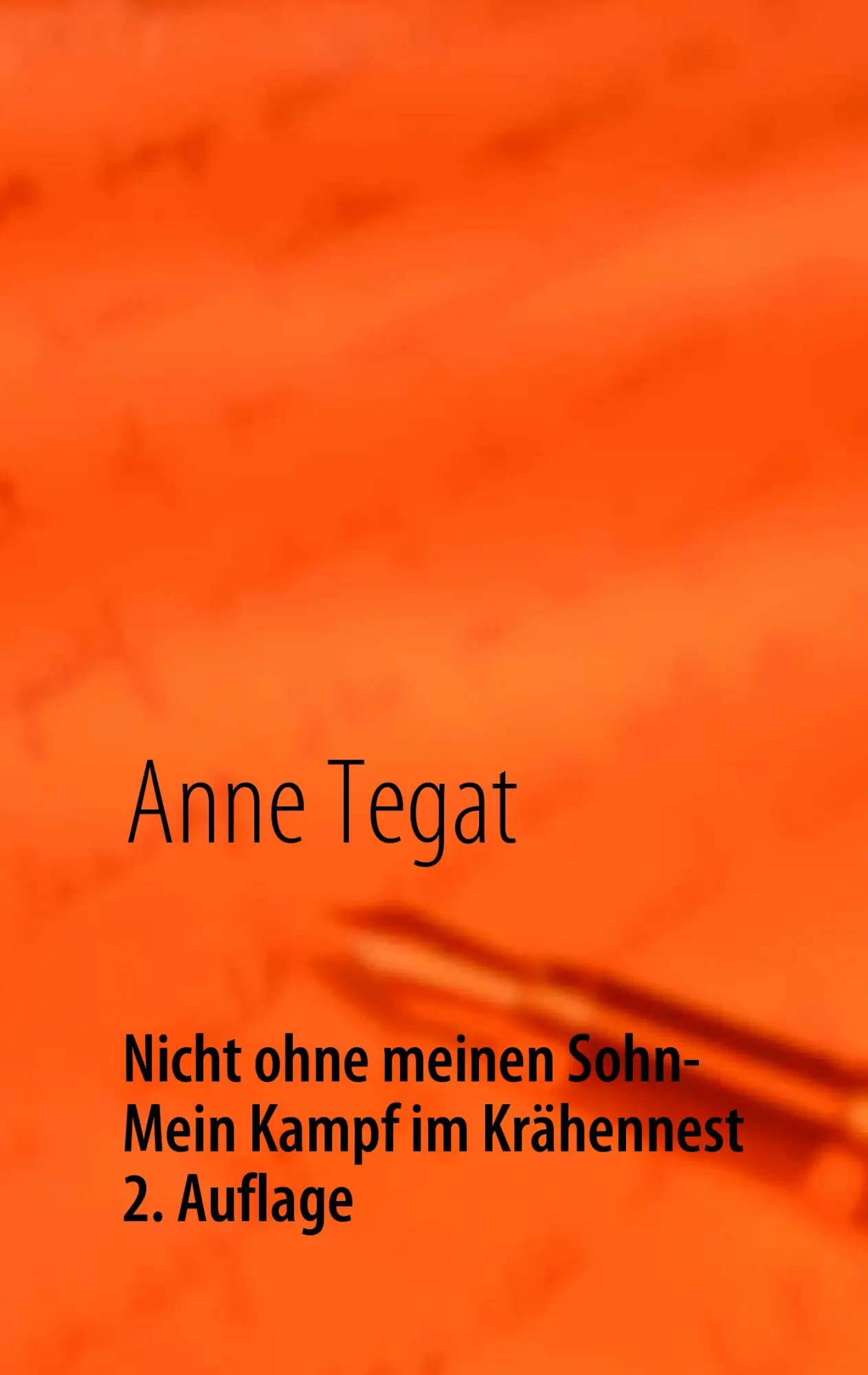 Cover: 9783837096095 | Nicht ohne meinen Sohn | - Mein Kampf im Krähennest | Anne Tegat