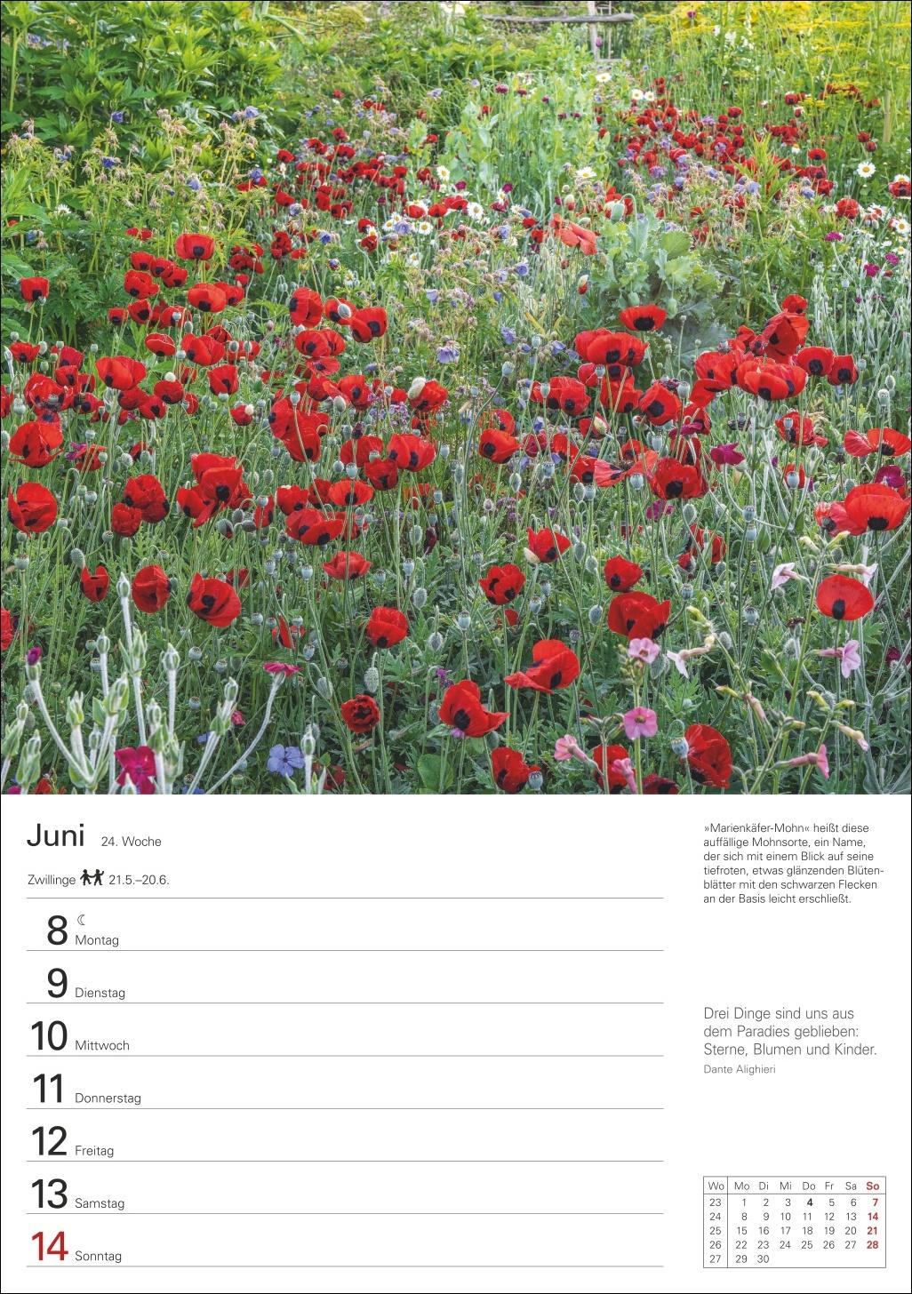 Bild: 9783840036095 | Gartenparadiese Wochenplaner 2026 - 53 stimmungsvolle Fotografien