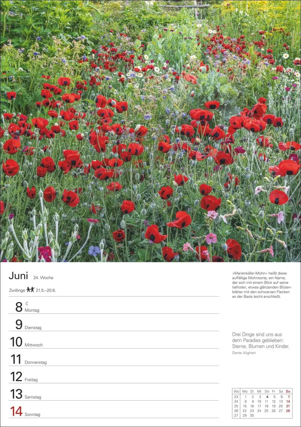 Bild: 9783840036095 | Gartenparadiese Wochenplaner 2026 - 53 stimmungsvolle Fotografien