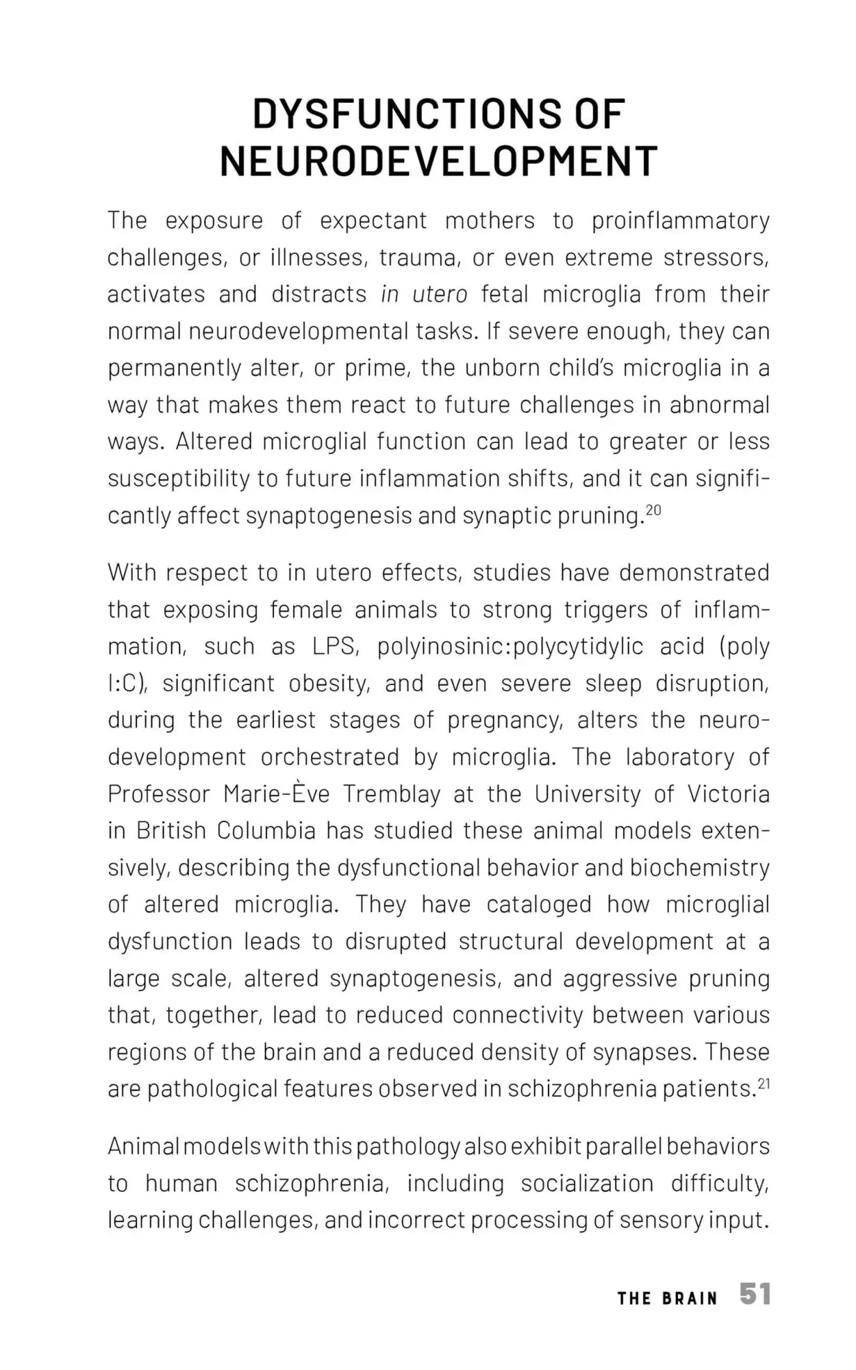 Bild: 9781646046195 | The Vagus-Immune Connection | J. P. Errico (u. a.) | Taschenbuch