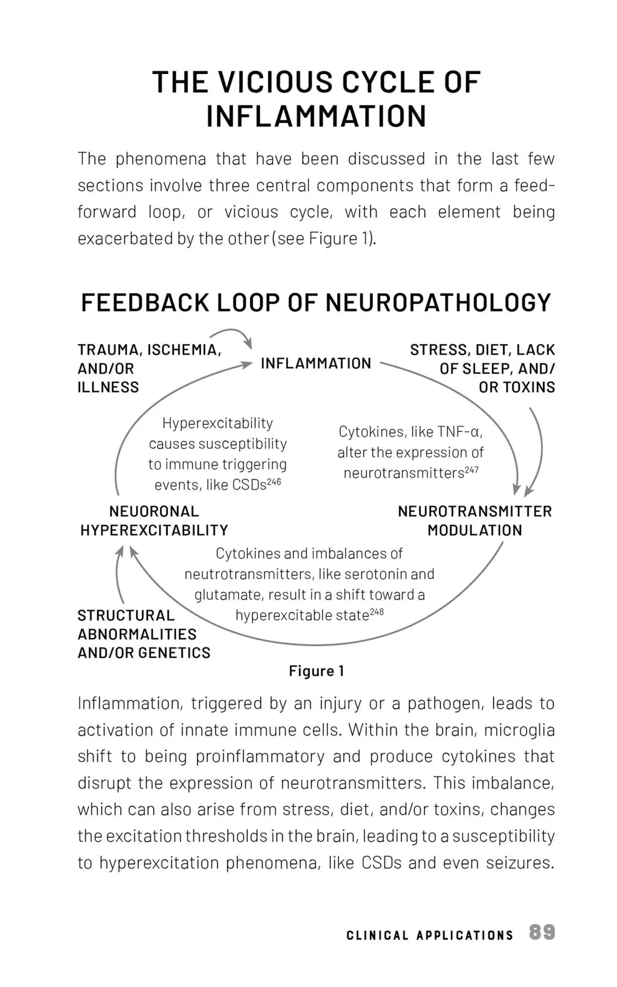 Bild: 9781646046195 | The Vagus-Immune Connection | J. P. Errico (u. a.) | Taschenbuch