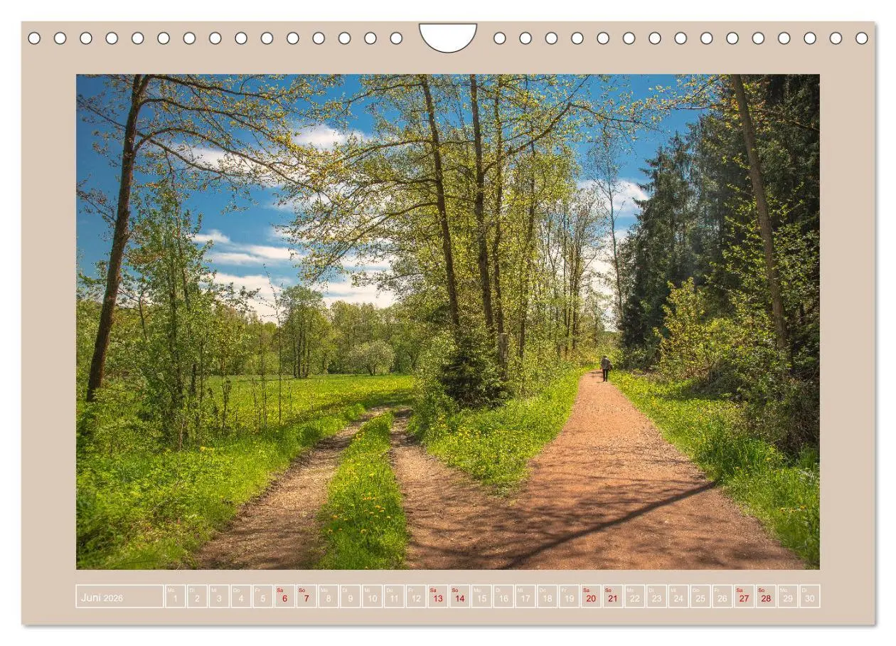 Bild: 9783457686195 | Vogtland - 900 Jahre Plauen (Wandkalender 2026 DIN A4 quer),...