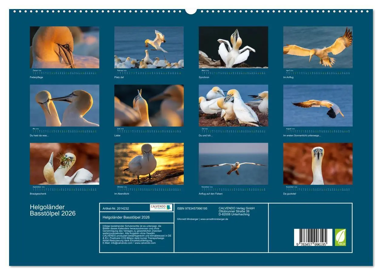 Bild: 9783457996195 | Helgoländer Basstölpel 2026 (hochwertiger Premium Wandkalender 2026...