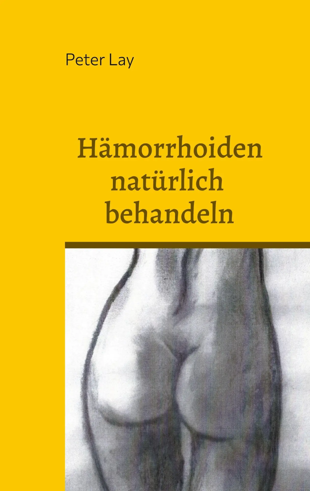 Cover: 9783759706195 | Hämorrhoiden natürlich behandeln | Peter Lay | Taschenbuch | 146 S.