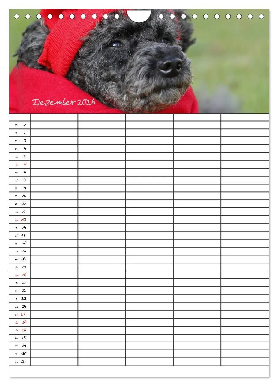 Bild: 9783516456295 | Der Pudel-Familienplaner (Wandkalender 2026 DIN A4 hoch), CALVENDO...