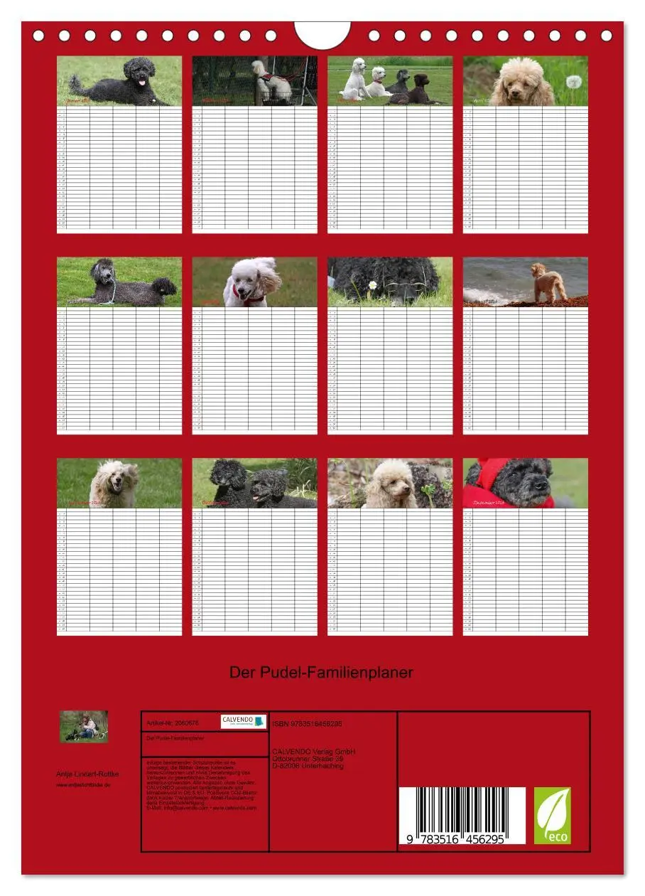 Bild: 9783516456295 | Der Pudel-Familienplaner (Wandkalender 2026 DIN A4 hoch), CALVENDO...