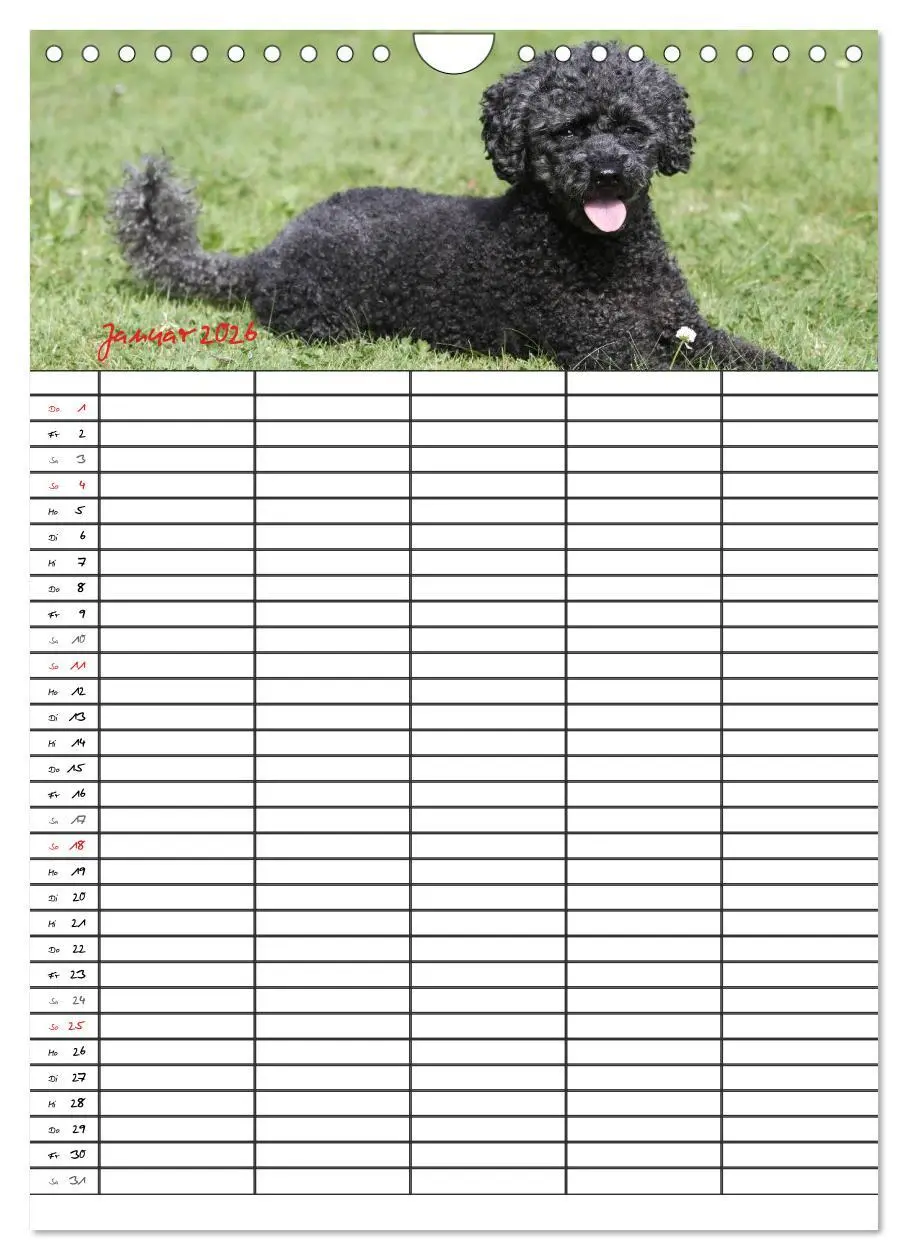 Bild: 9783516456295 | Der Pudel-Familienplaner (Wandkalender 2026 DIN A4 hoch), CALVENDO...