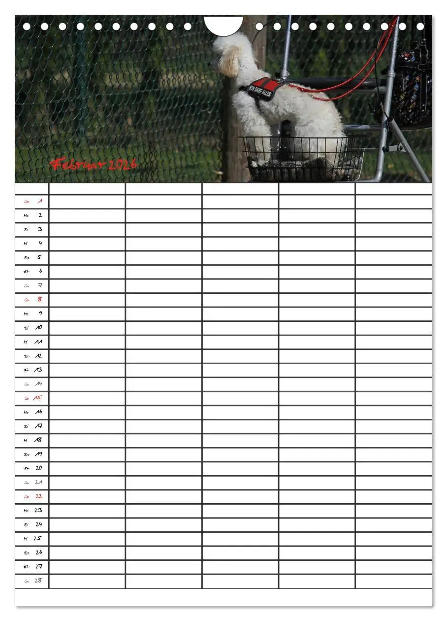 Bild: 9783516456295 | Der Pudel-Familienplaner (Wandkalender 2026 DIN A4 hoch), CALVENDO...