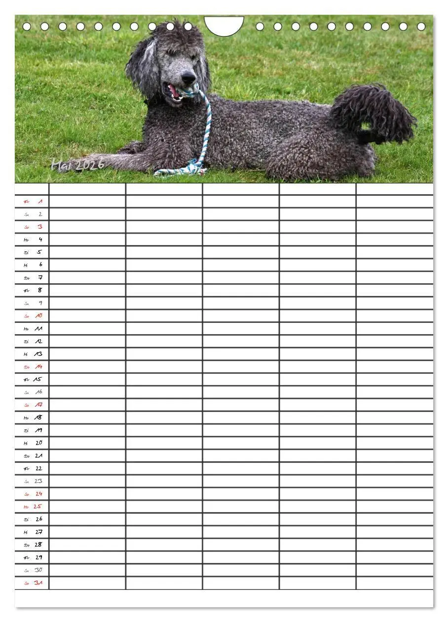 Bild: 9783516456295 | Der Pudel-Familienplaner (Wandkalender 2026 DIN A4 hoch), CALVENDO...