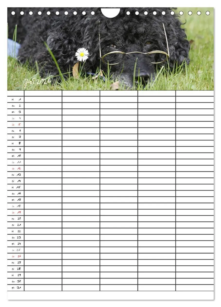 Bild: 9783516456295 | Der Pudel-Familienplaner (Wandkalender 2026 DIN A4 hoch), CALVENDO...