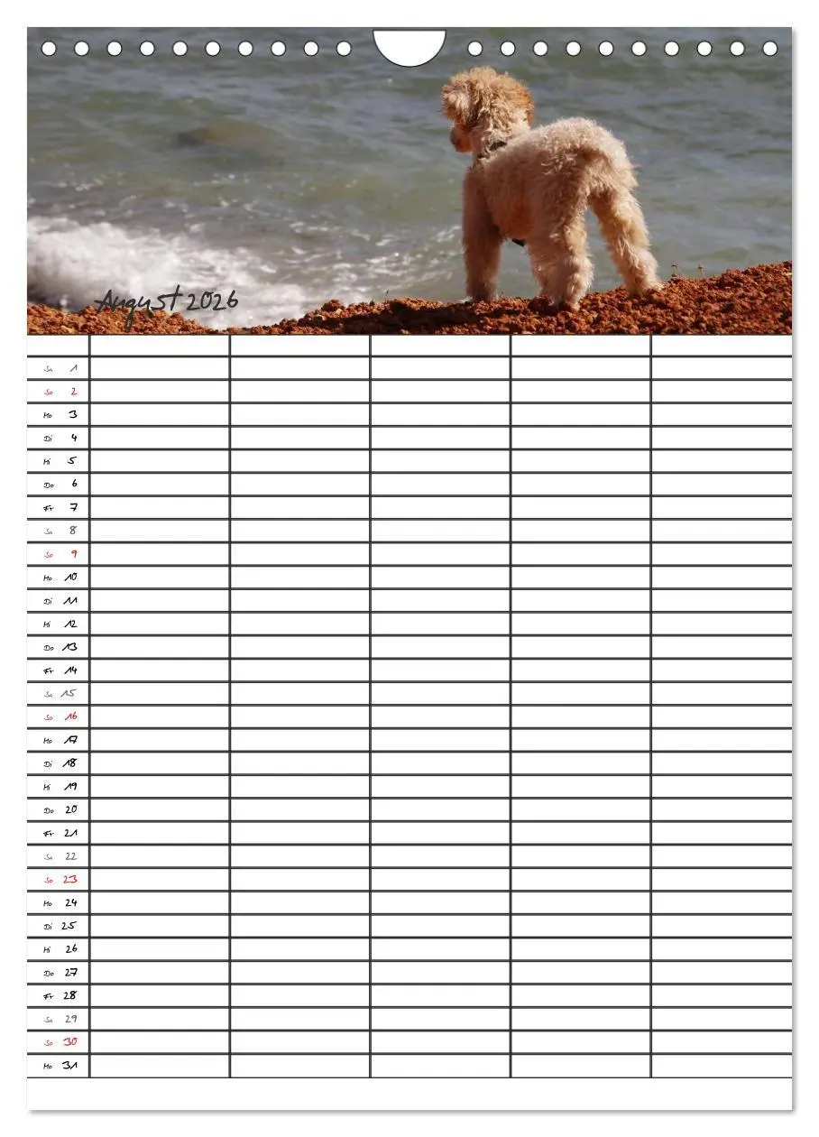 Bild: 9783516456295 | Der Pudel-Familienplaner (Wandkalender 2026 DIN A4 hoch), CALVENDO...