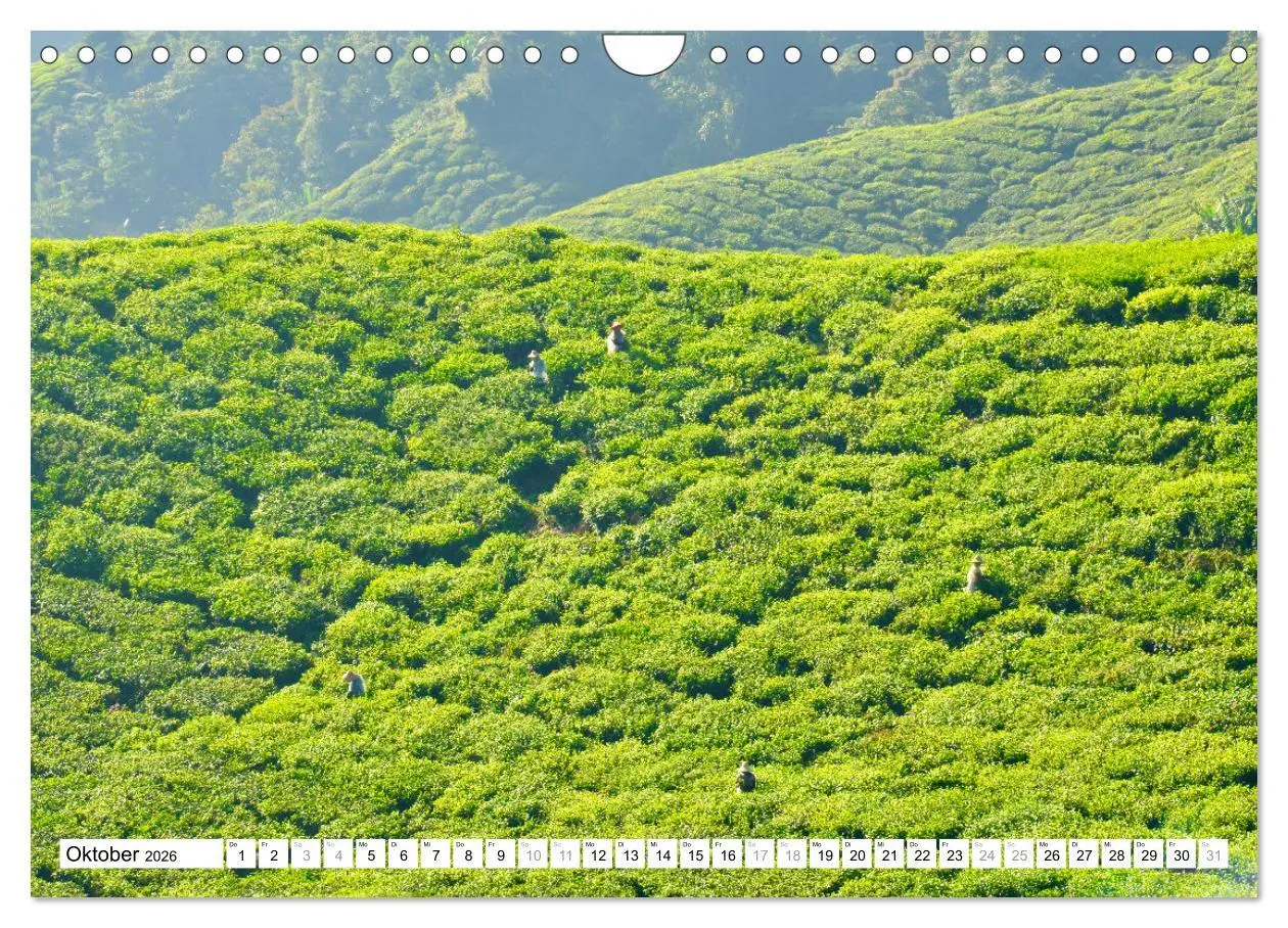 Bild: 9783457586495 | Weltreise, in zwölf Fotografien einmal um die Welt (Wandkalender...