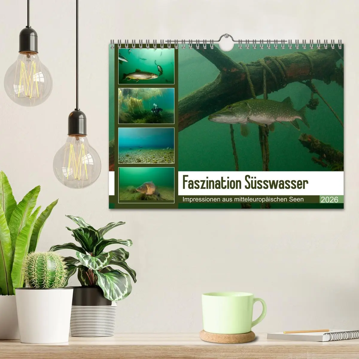 Bild: 9783457896495 | Faszination Süsswasser (Wandkalender 2026 DIN A4 quer), CALVENDO...