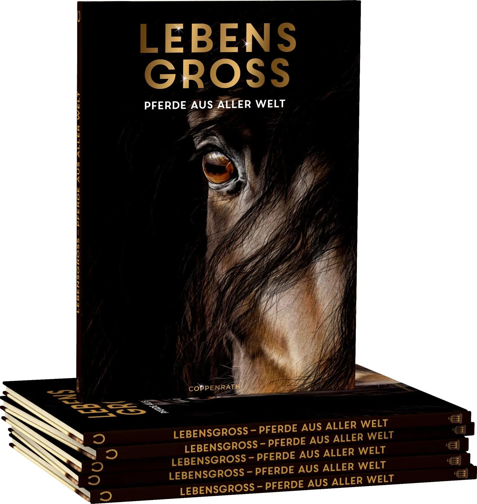 Bild: 9783649646495 | Lebensgroß | Pferde aus aller Welt | Susan Niessen | Buch | 56 S.