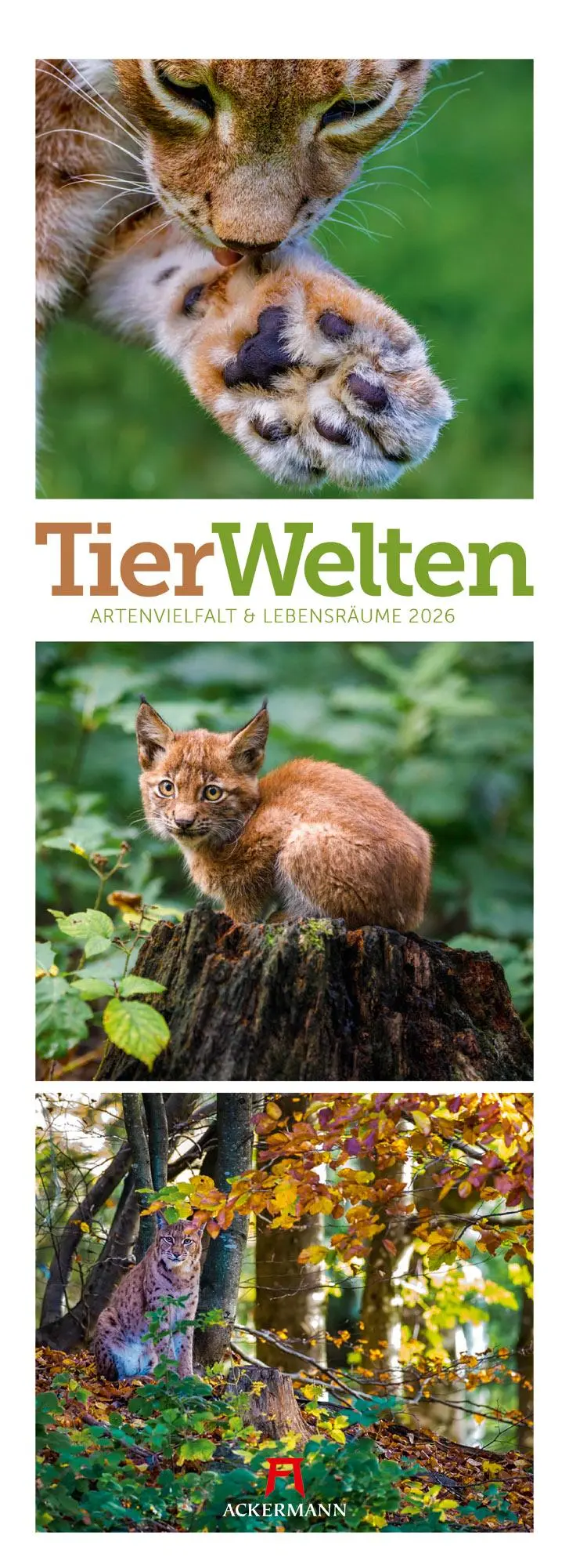 Cover: 9783838426495 | Tierwelten Triplet-Kalender 2026 Artenvielfalt &amp; Lebensräume | GmbH