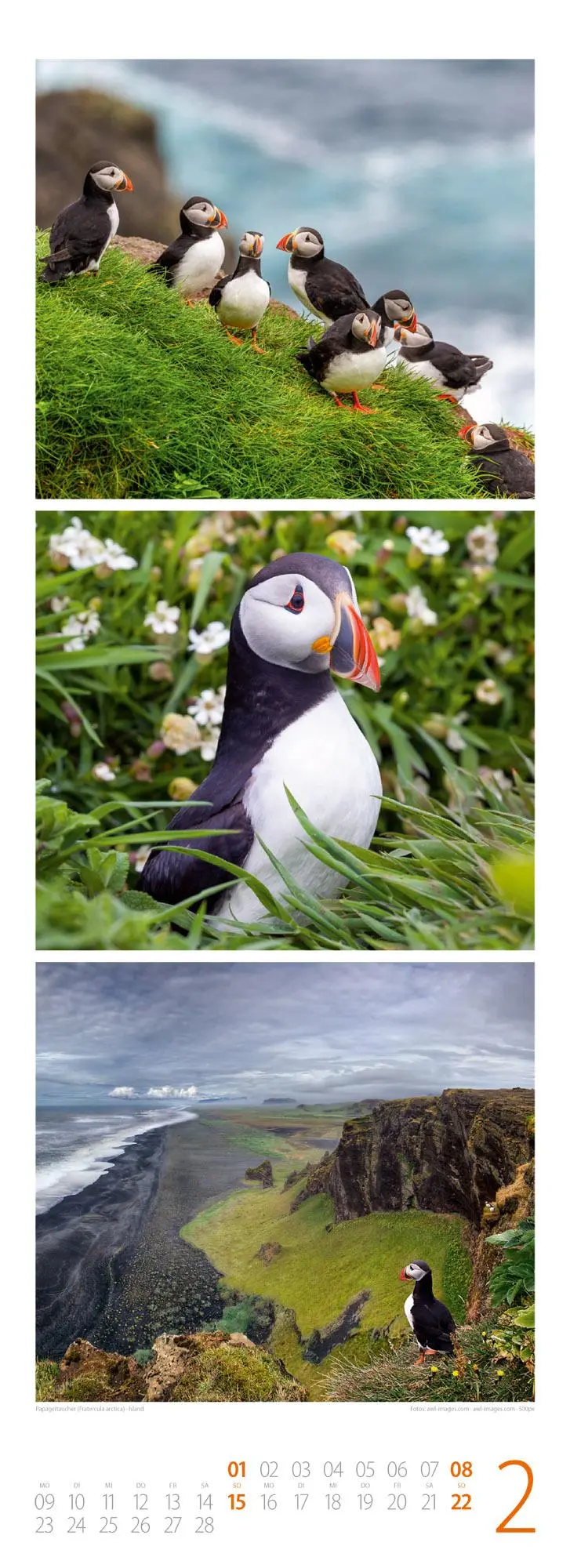 Bild: 9783838426495 | Tierwelten Triplet-Kalender 2026 Artenvielfalt &amp; Lebensräume | GmbH
