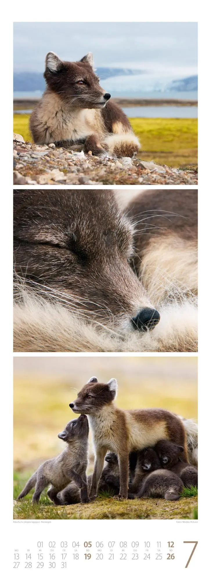 Bild: 9783838426495 | Tierwelten Triplet-Kalender 2026 Artenvielfalt &amp; Lebensräume | GmbH