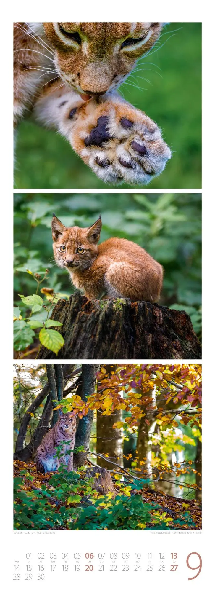 Bild: 9783838426495 | Tierwelten Triplet-Kalender 2026 Artenvielfalt &amp; Lebensräume | GmbH