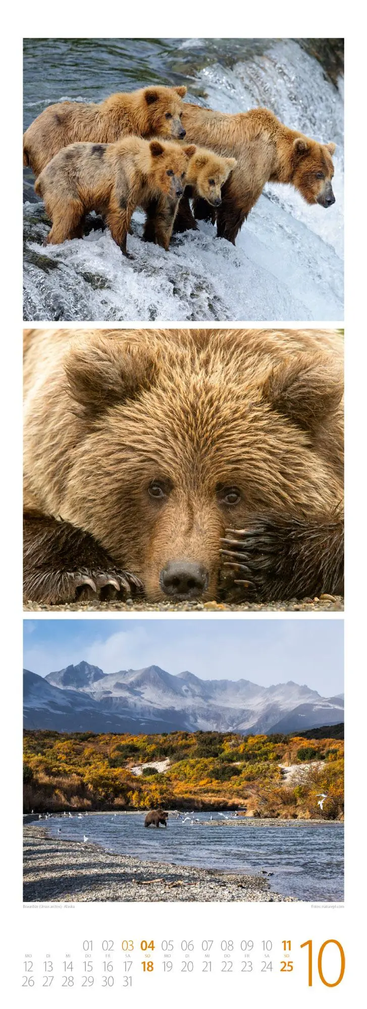 Bild: 9783838426495 | Tierwelten Triplet-Kalender 2026 Artenvielfalt &amp; Lebensräume | GmbH