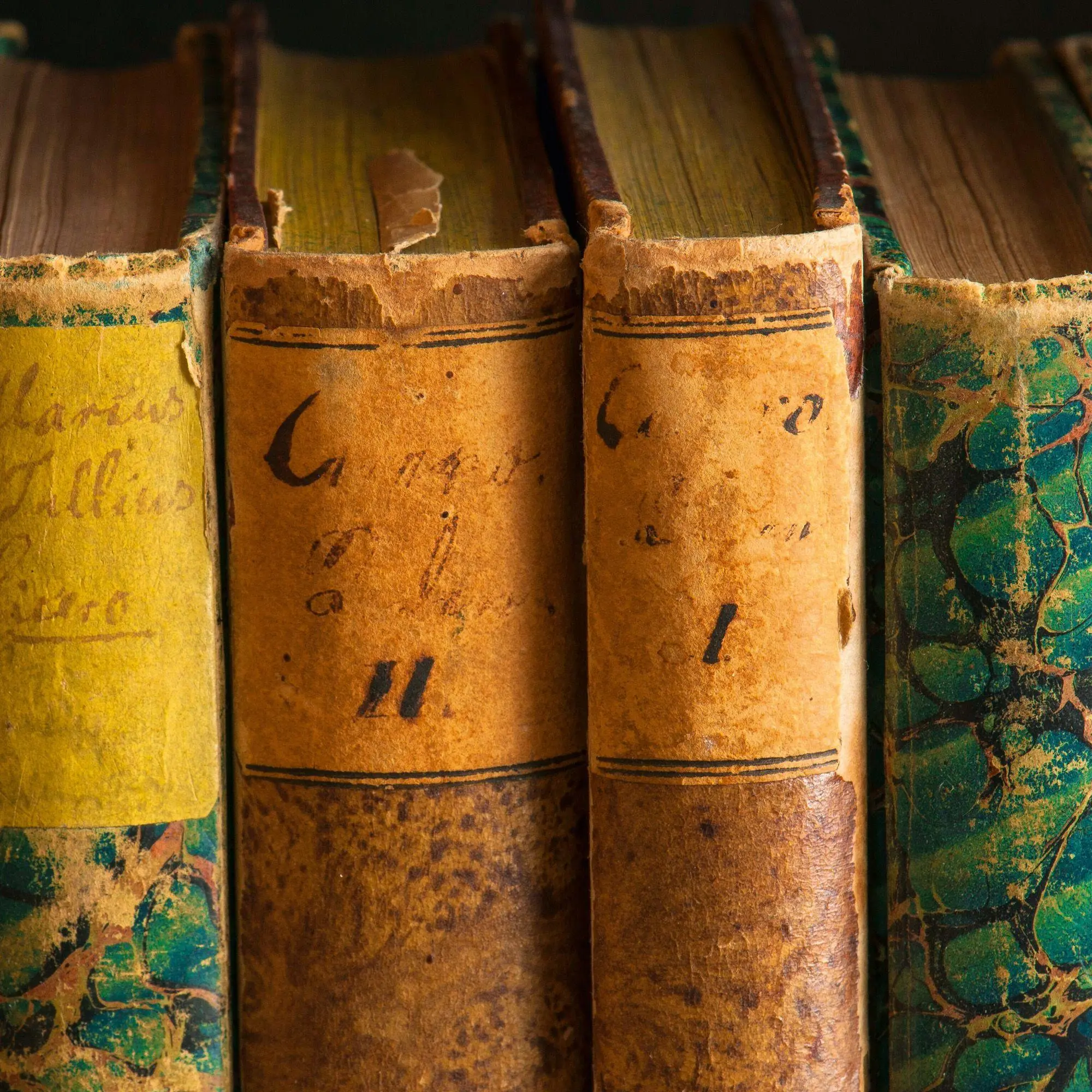 Bild: 9783959296595 | The Culture of Books 2027 | Kalender 2027 | Kalender | Wonderful World