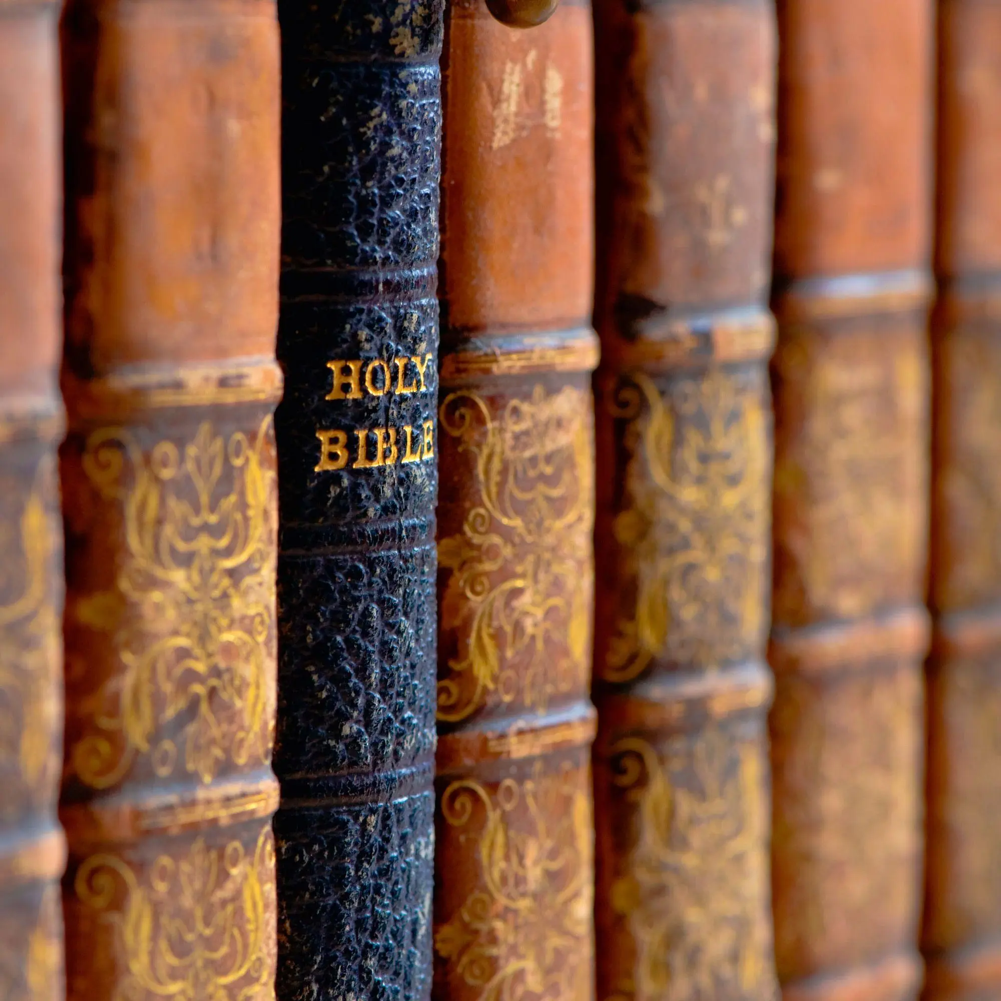Bild: 9783959296595 | The Culture of Books 2027 | Kalender 2027 | Kalender | Wonderful World