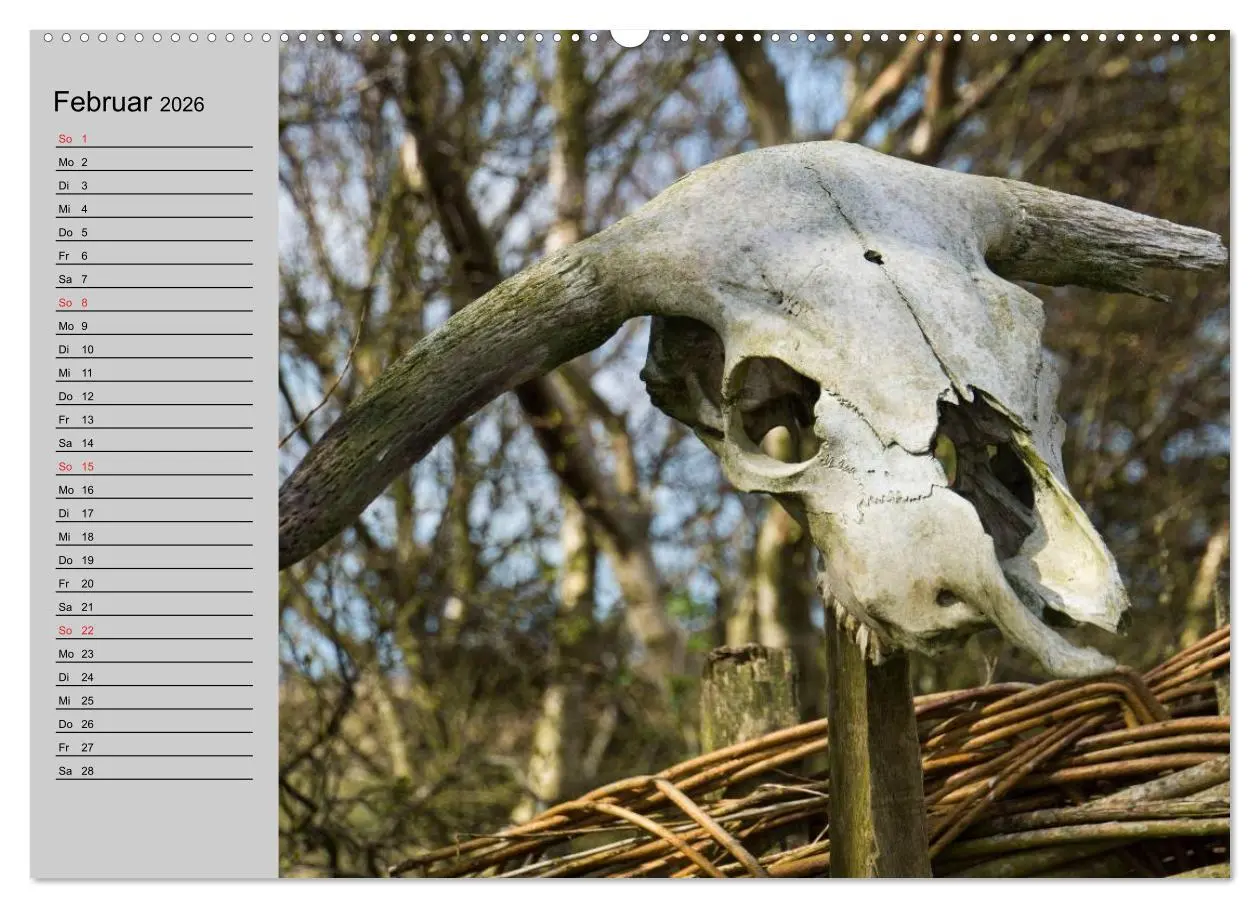 Bild: 9783457946695 | Dänemark - Umgebung von Hvide Sande (Wandkalender 2026 DIN A2...