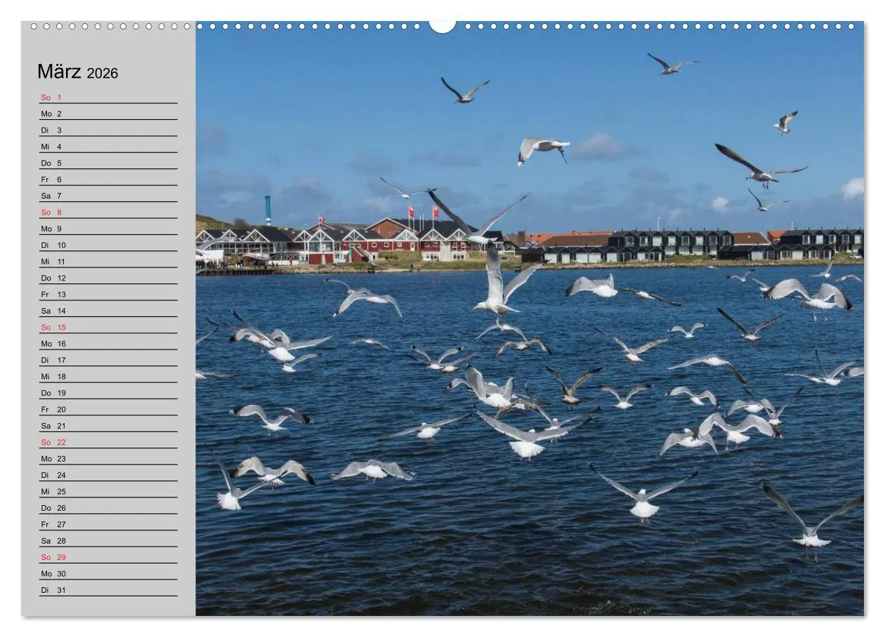 Bild: 9783457946695 | Dänemark - Umgebung von Hvide Sande (Wandkalender 2026 DIN A2...