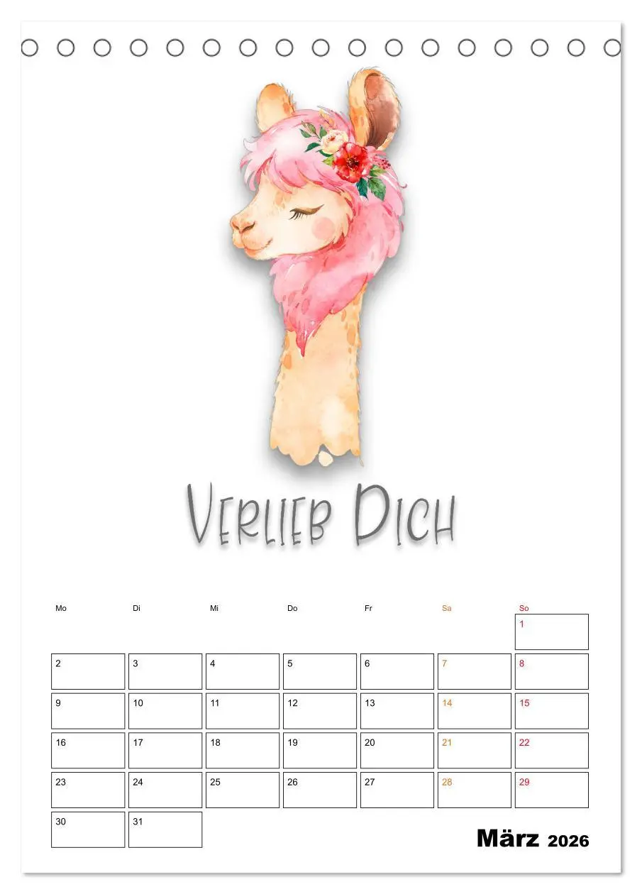 Bild: 9783516346695 | Bleib cool - Gute-Laune-Kalender (Tischkalender 2026 DIN A5 hoch),...