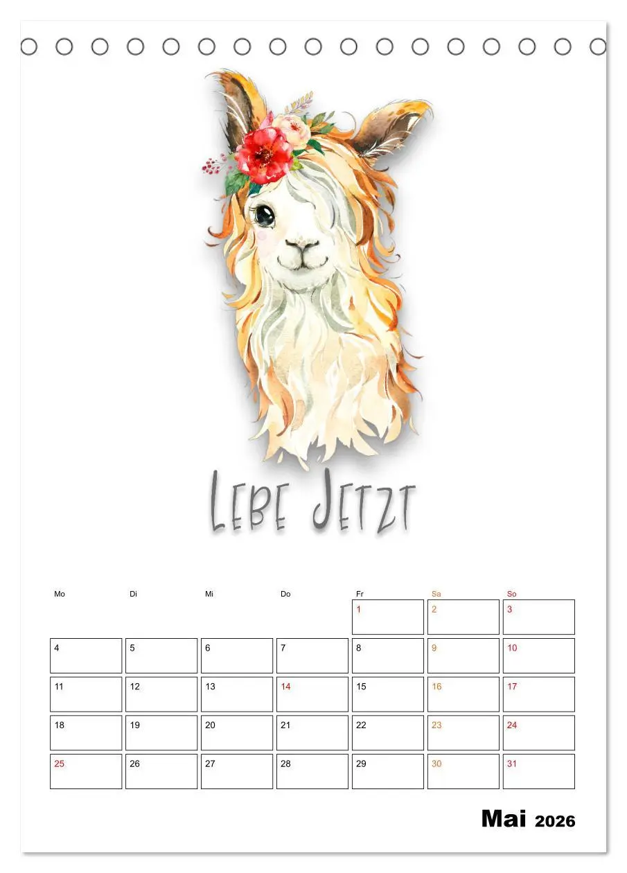 Bild: 9783516346695 | Bleib cool - Gute-Laune-Kalender (Tischkalender 2026 DIN A5 hoch),...