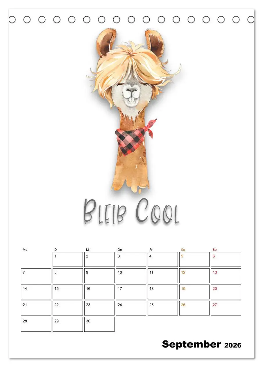 Bild: 9783516346695 | Bleib cool - Gute-Laune-Kalender (Tischkalender 2026 DIN A5 hoch),...