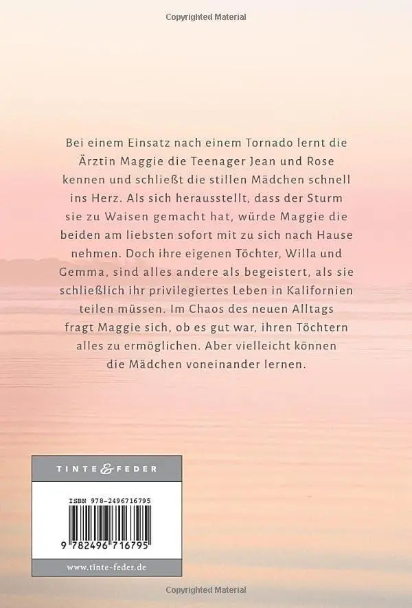 Rückseite: 9782496716795 | Die Ruhe nach dem Sturm | Catherine Ryan Hyde | Taschenbuch | 336 S.