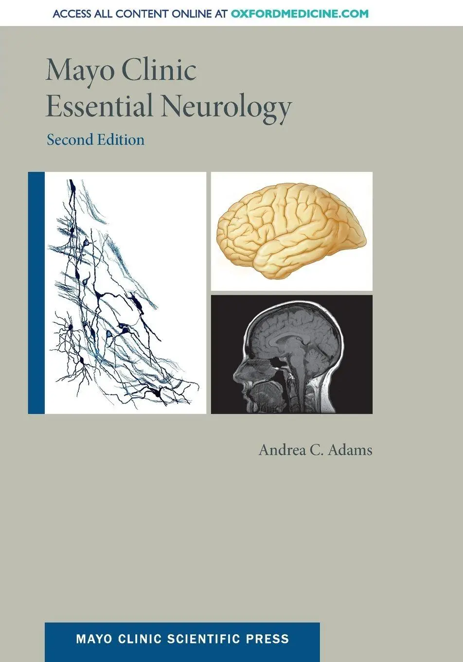 Cover: 9780190206895 | Mayo Clinic Essential Neurology | Andrea C. Adams | Taschenbuch | 2018