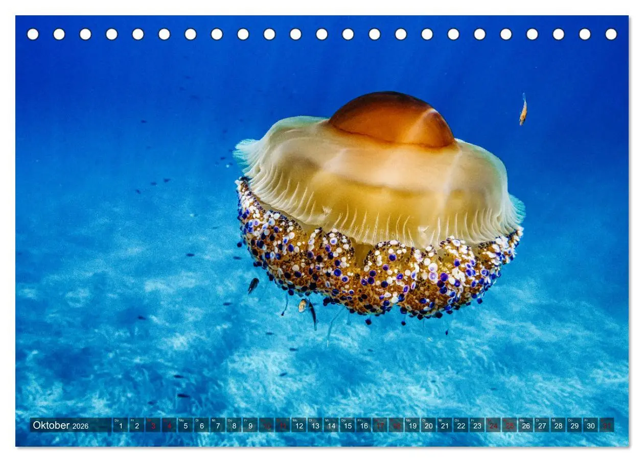 Bild: 9783457476895 | Bella Italia - Berge und Meer (Tischkalender 2026 DIN A5 quer),...