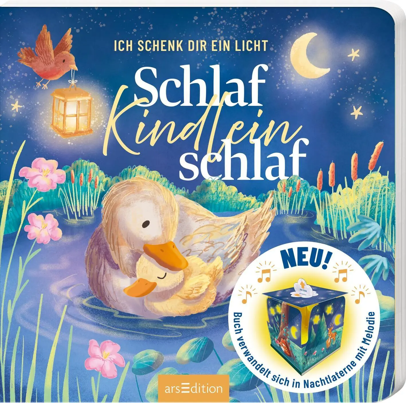 Cover: 9783845866895 | Ich schenk dir ein Licht! Schlaf, Kindlein, schlaf | Cornelia Boese