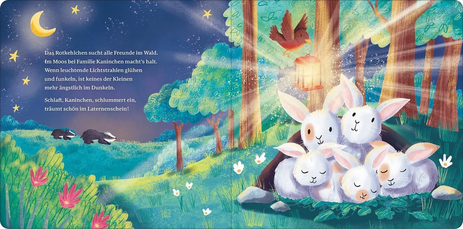 Bild: 9783845866895 | Ich schenk dir ein Licht! Schlaf, Kindlein, schlaf | Cornelia Boese