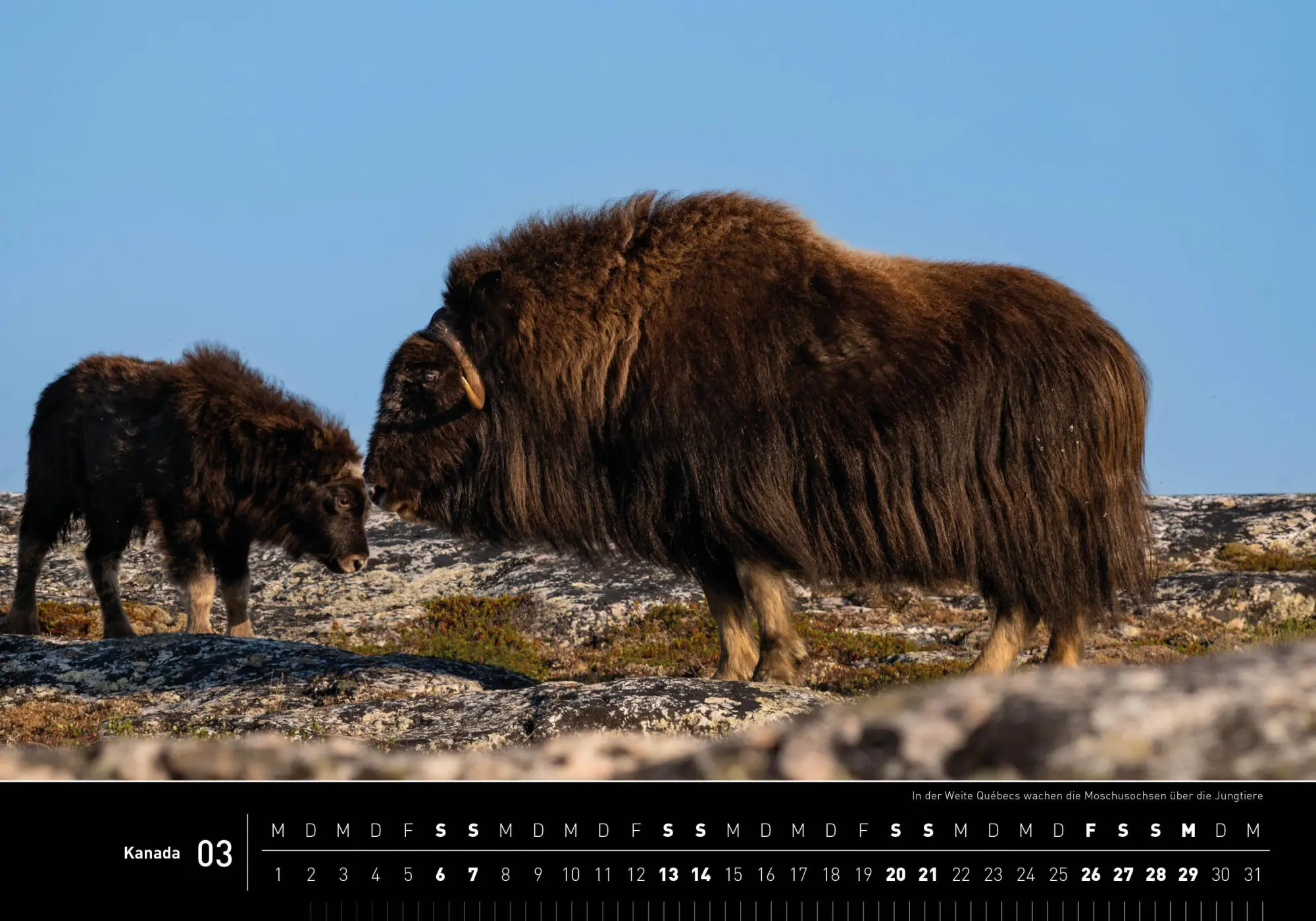 Bild: 9783968556895 | Kanada Premiumkalender 2027 | Aaron Moser | Kalender | 14 S. | Deutsch