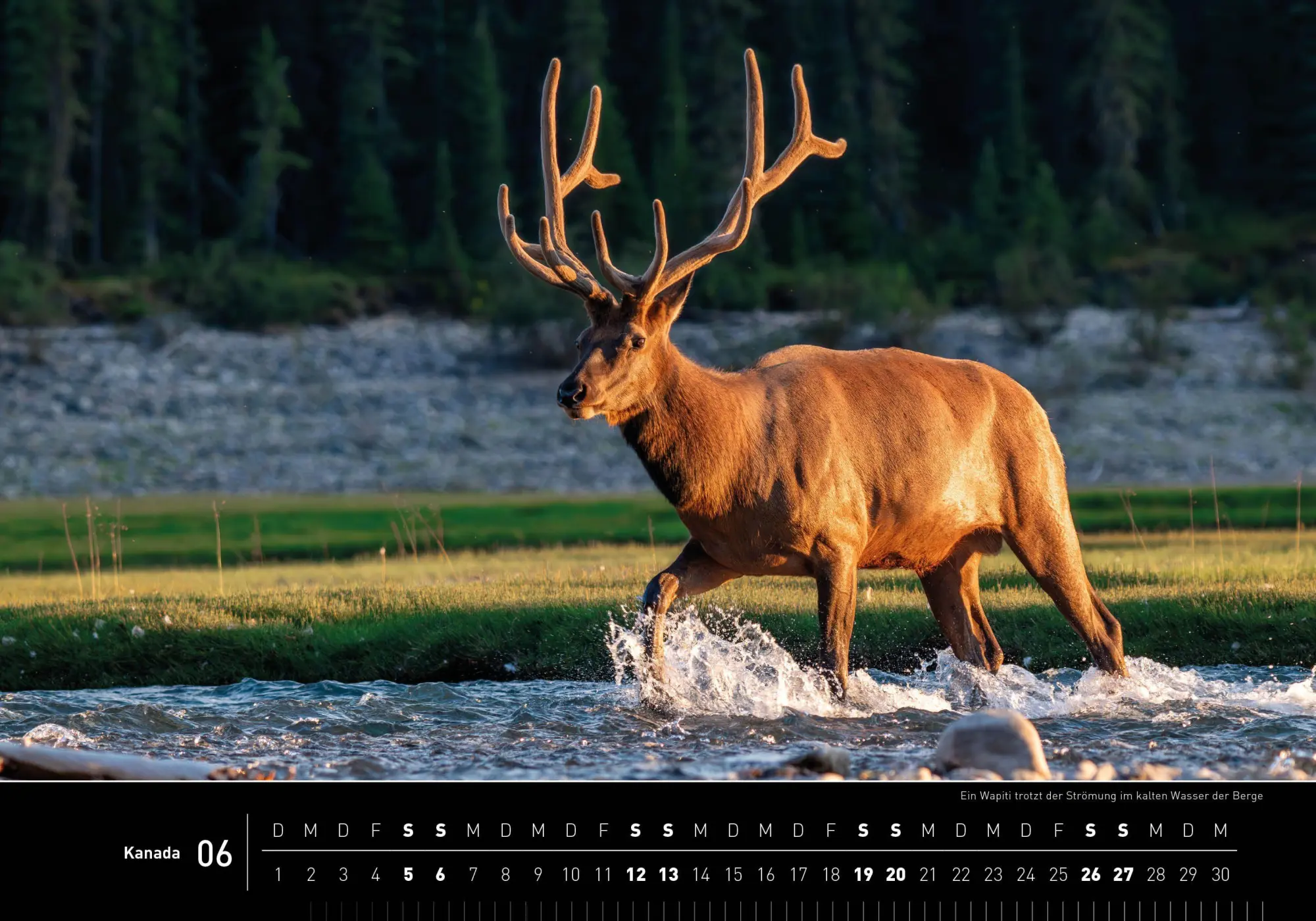 Bild: 9783968556895 | Kanada Premiumkalender 2027 | Aaron Moser | Kalender | 14 S. | Deutsch