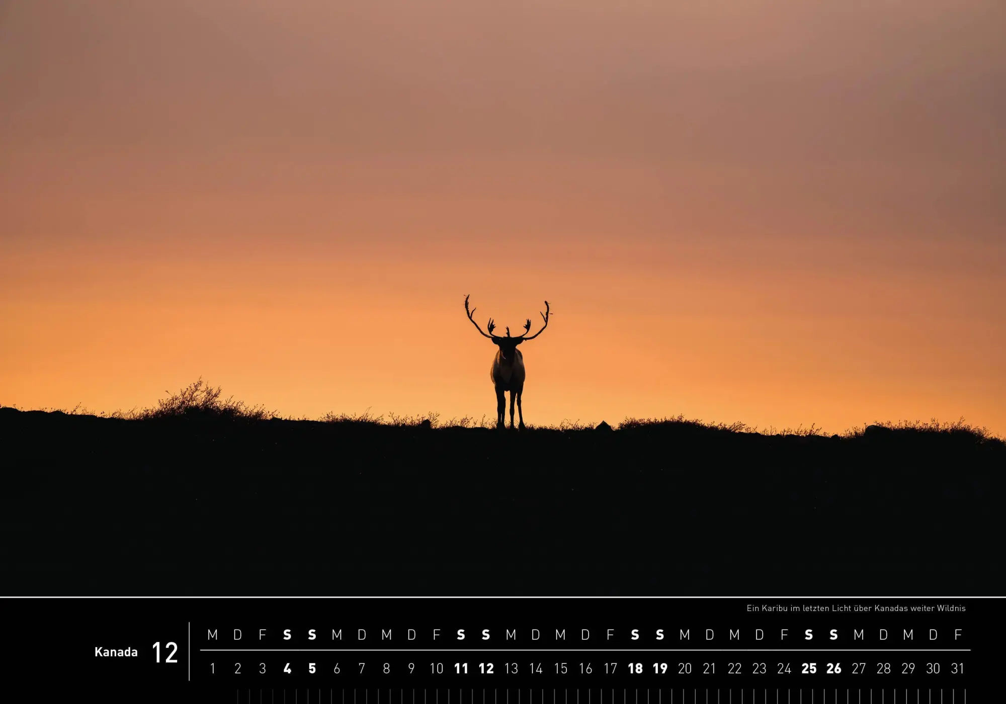 Bild: 9783968556895 | Kanada Premiumkalender 2027 | Aaron Moser | Kalender | 14 S. | Deutsch