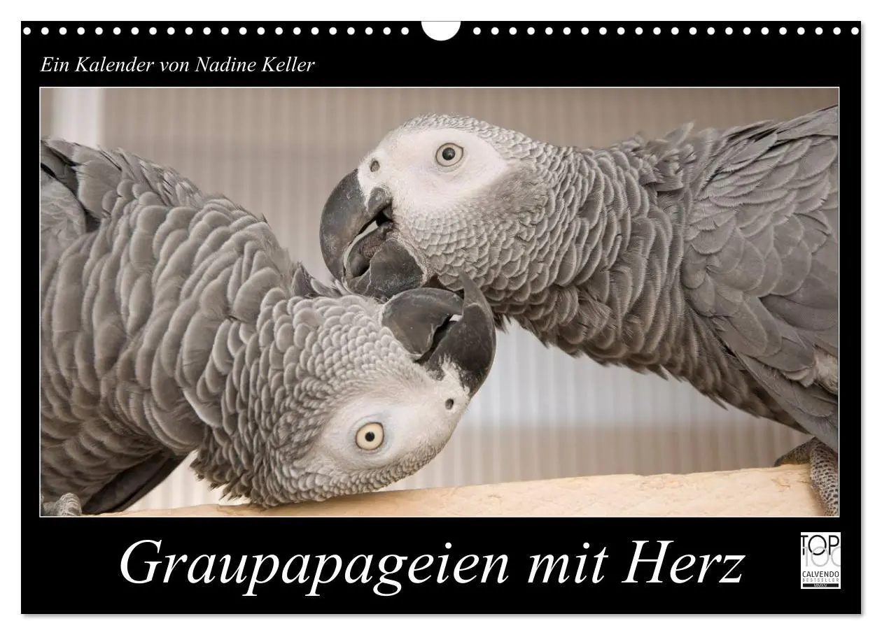 Cover: 9783435686995 | Graupapageien mit Herz (Wandkalender 2025 DIN A3 quer), CALVENDO...