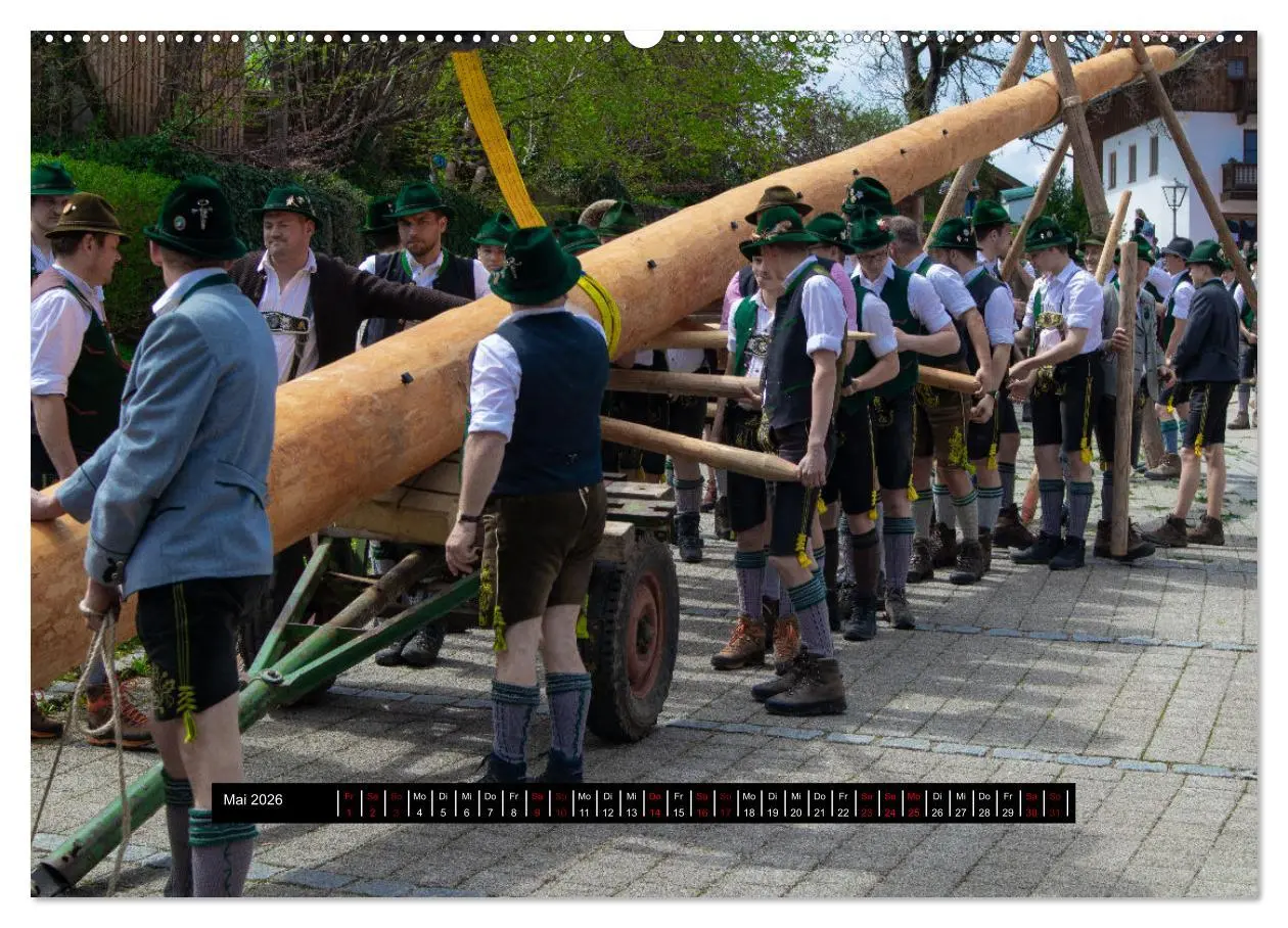 Bild: 9783457396995 | Maibaum aufstellen (Wandkalender 2026 DIN A2 quer), CALVENDO...
