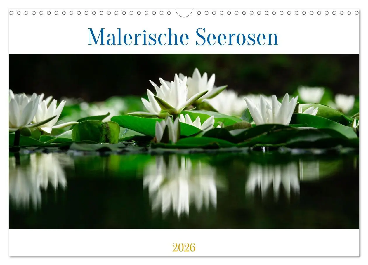 Cover: 9783457536995 | Malerische Seerosen (Wandkalender 2026 DIN A3 quer), CALVENDO...