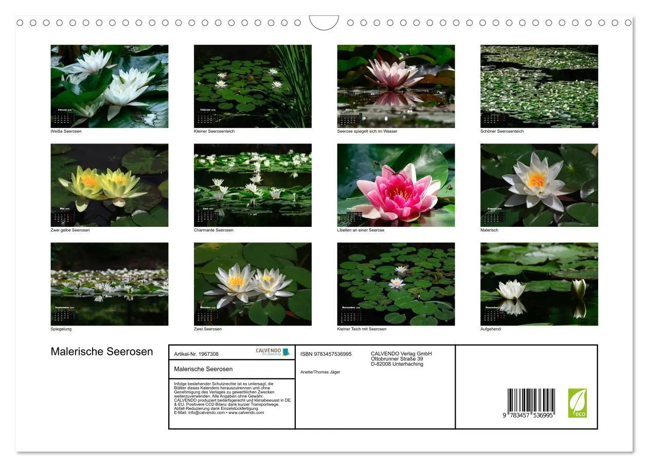 Bild: 9783457536995 | Malerische Seerosen (Wandkalender 2026 DIN A3 quer), CALVENDO...