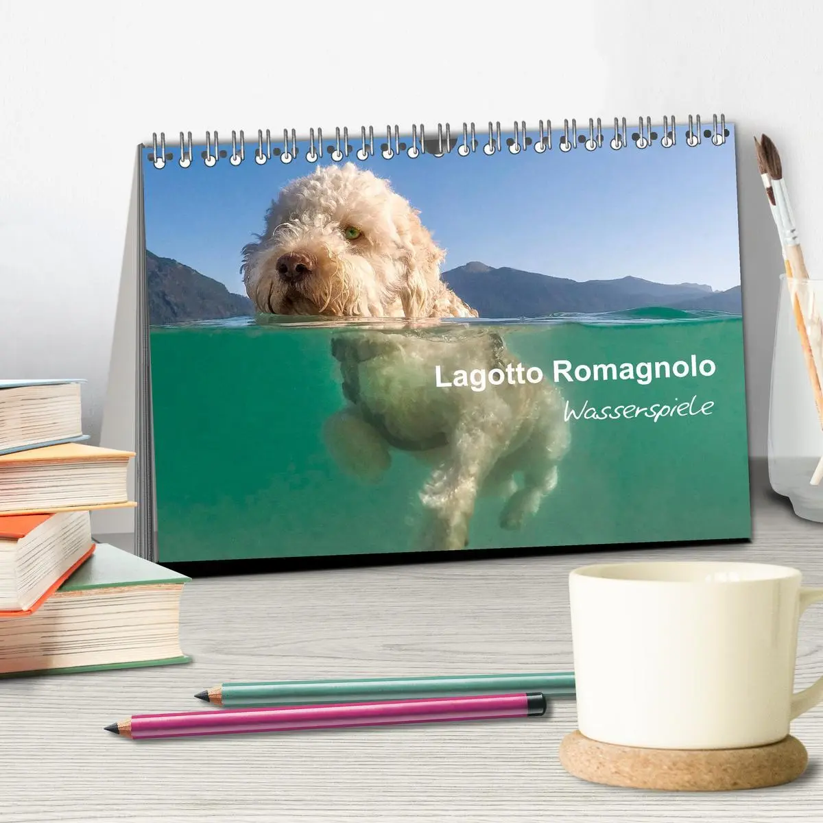 Bild: 9783457776995 | Lagotto Romagnolo - Wasserspiele (Tischkalender 2026 DIN A5 quer),...