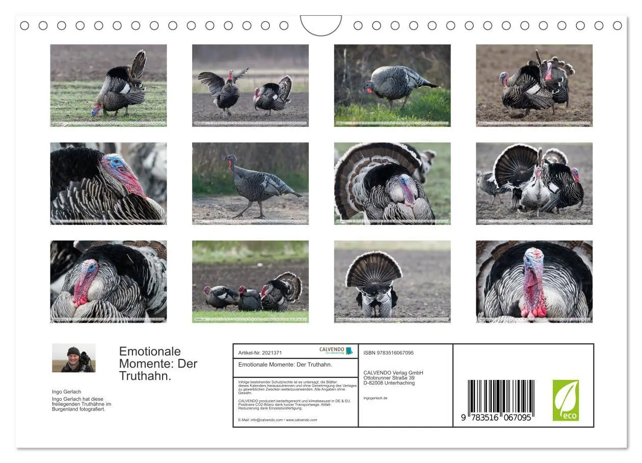 Bild: 9783516067095 | Emotionale Momente: Der Truthahn. (Wandkalender 2026 DIN A4 quer),...